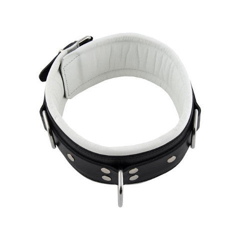 Mister B Leather Collar