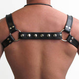 Mister B Leather Halter Harness