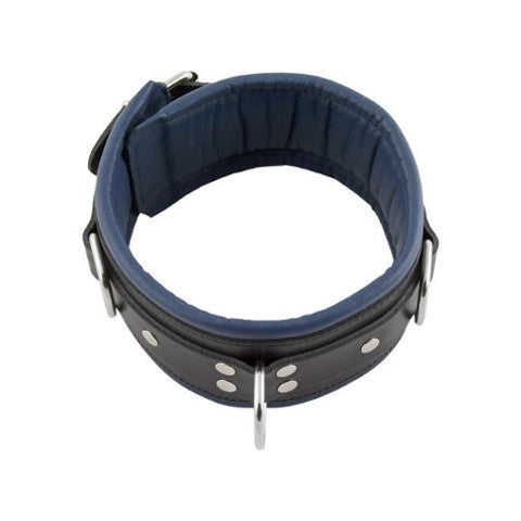Mister B Leather Collar