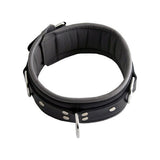Mister B Leather Collar