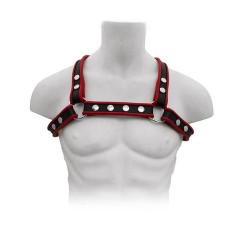 Mister B Leather X-Back Harness