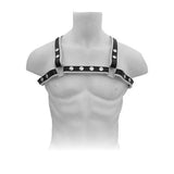 Mister B Leather X-Back Harness