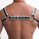 Mister B Leather Halter Harness